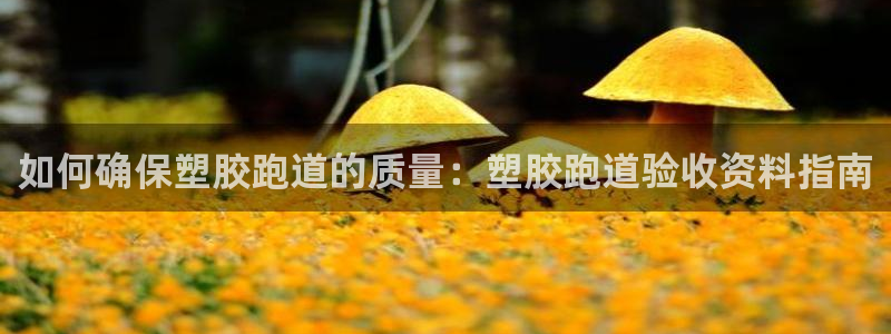 尊龙官网注册：如何确保塑胶跑道的质量：塑胶跑道验收资