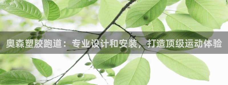 尊龙d88现金 旧版本可靠送38元：奥森塑胶跑道：专业设计和安装，打造顶级运动体验