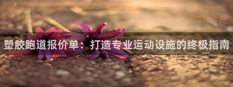 尊龙z6.con：塑胶跑道报价单：打造专业运动设施的终极指南
