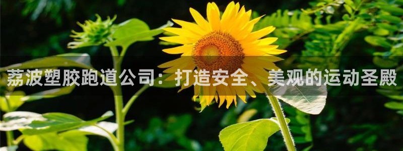 尊龙网站注册网：荔波塑胶跑道公司：打造安全、美观的运动圣殿