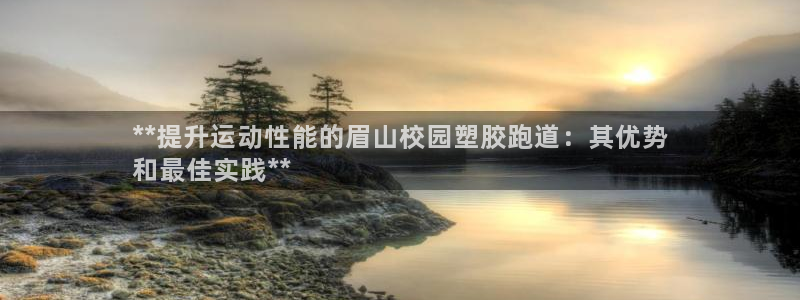 百度一下尊龙：**提升运动性能的眉山校园塑胶跑道：其优势
和最佳实践**