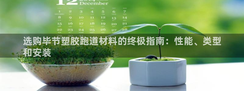 尊龙人生就是博登录首页：选购毕节塑胶跑道材料的终极指南：性能、类型
和安装