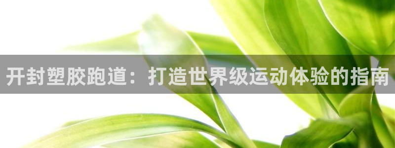 尊龙体育电竞官网：开封塑胶跑道：打造世界级运动体验的