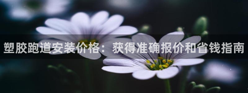 尊龙凯时平台正规吗：塑胶跑道安装价格：获得准确报价和省钱指南