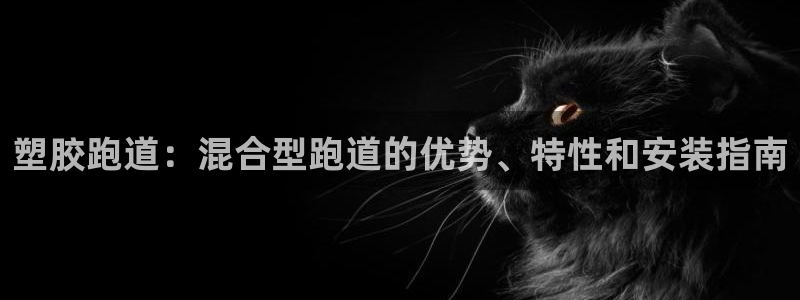 凯时kb88kb88：塑胶跑道：混合型跑道的优势、特