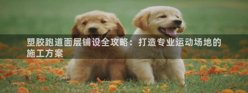 尊龙游戏官网游戏特色：塑胶跑道面层铺设全攻略：打造专