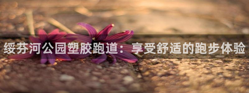 凯时app官方首页：绥芬河公园塑胶跑道：享受舒适的跑步体验
