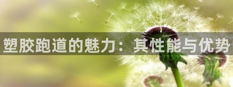 尊龙凯时的生产设备：塑胶跑道的魅力：其性能与优势