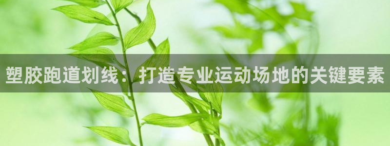 尊龙饰演过的经典角色：塑胶跑道划线：打造专业运动场地的关键要素