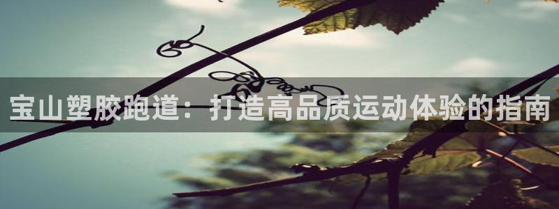 尊龙人生就是博网站下载：宝山塑胶跑道：打造高品质运动体验的指南