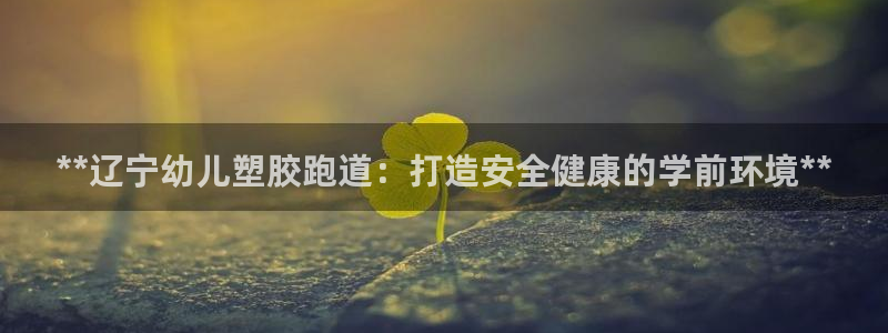 尊龙2016：**辽宁幼儿塑胶跑道：打造安全健康的学前环境**