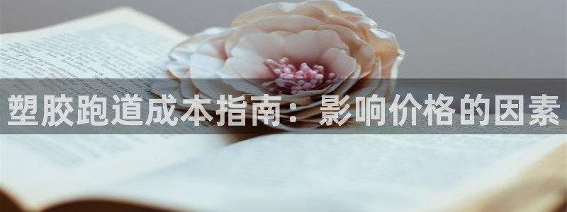 尊龙凯时链接：塑胶跑道成本指南：影响价格的因素
