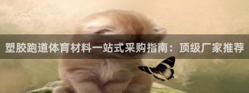 尊龙凯时注册：塑胶跑道体育材料一站式采购指南：顶级厂