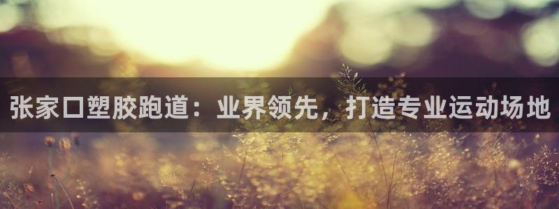 尊龙凯时取钱很慢：张家口塑胶跑道：业界领先，打造专业