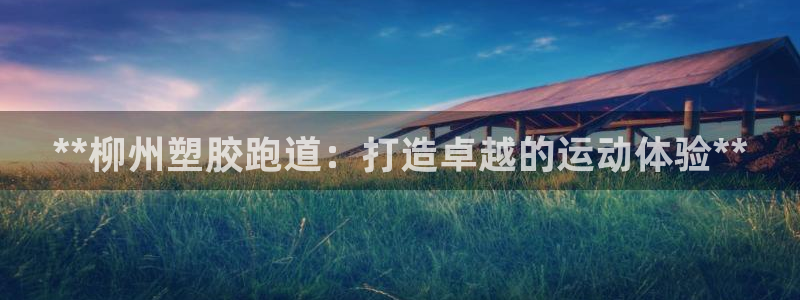 尊龙凯时官网平台：**柳州塑胶跑道：打造卓越的运动体