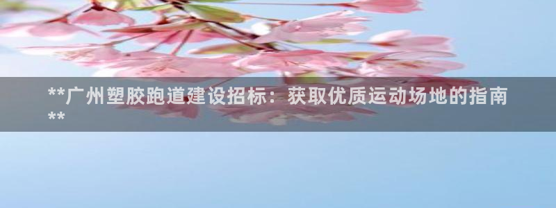 尊龙凯时是正规平台吗：**广州塑胶跑道建设招标：获取优质运动场地的指南
**