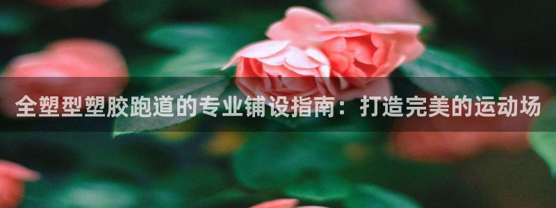 尊龙一人生就是搏：全塑型塑胶跑道的专业铺设指南：打造完美的运动场