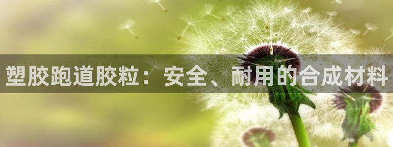 尊龙体育直接访问agbaofu.wang|ag暴富网