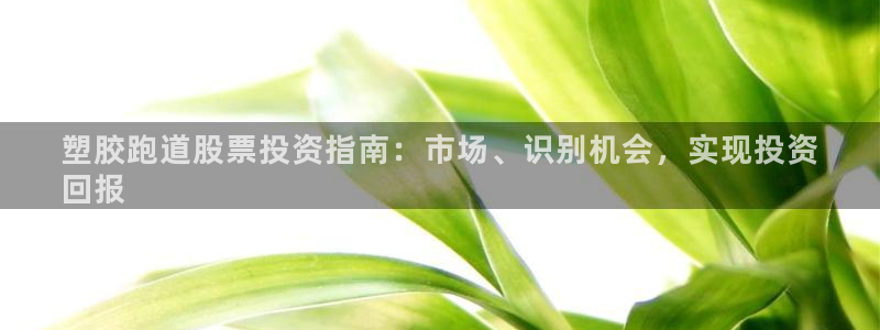 尊龙登录首页：塑胶跑道股票投资指南：市场、识别机会，实现投资
回报
