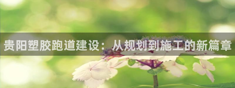 尊龙凯时发展历程