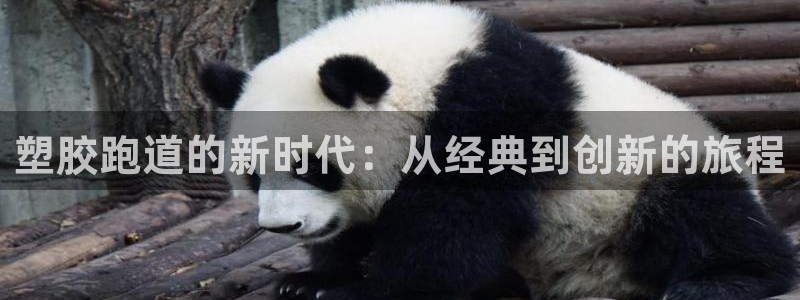 尊龙凯时代理