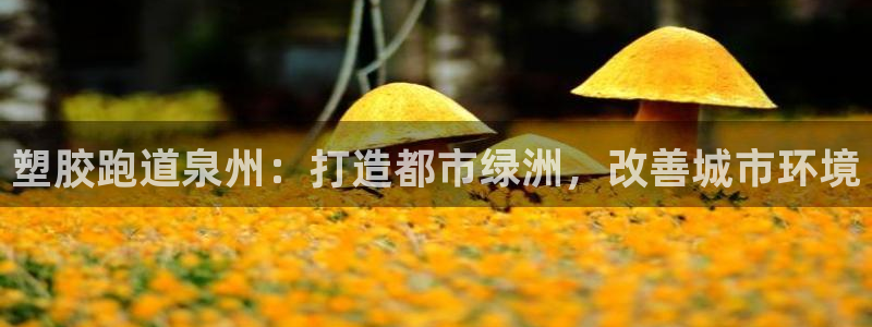 尊龙凯时取钱很慢