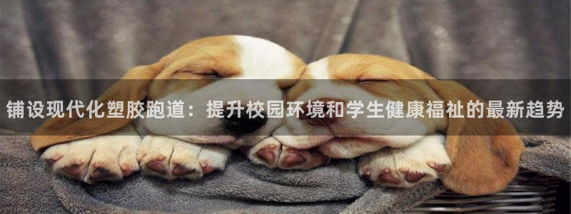 尊龙目前情况