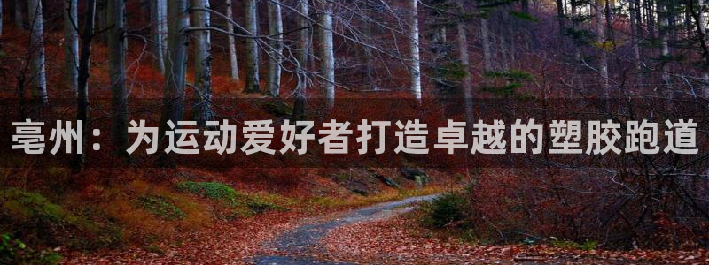 尊龙凯时d3563：亳州：为运动爱好者打造卓越的塑胶
