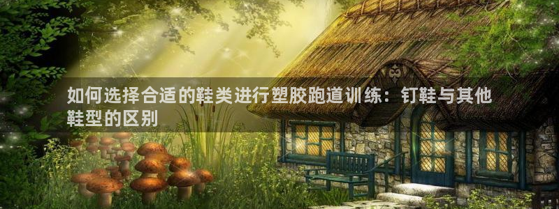 d88尊龙平台开户：如何选择合适的鞋类进行塑胶跑道训练：钉鞋与其他
鞋型的区别