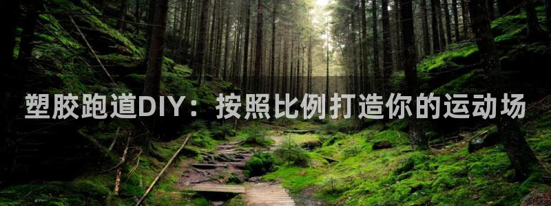 尊龙 贴吧：塑胶跑道DIY：按照比例打造你的运动场