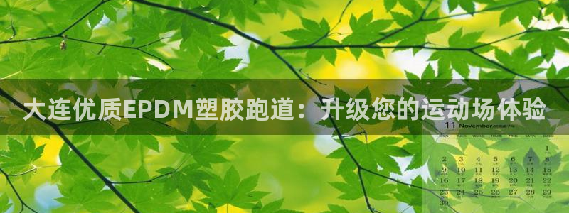 尊龙凯时代理官网入口：大连优质EPDM塑胶跑道：升级