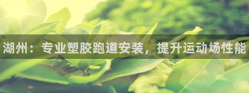 尊龙/人生就是博：湖州：专业塑胶跑道安装，提升运动场性能