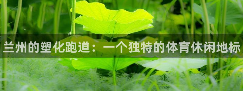 尊龙凯时网娱乐最新版下载