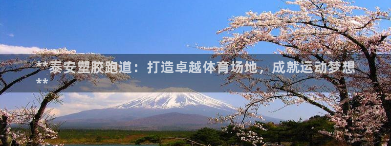 尊龙凯时网站赌愽做假吗：**泰安塑胶跑道：打造卓越体