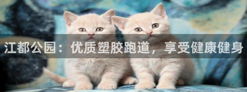 凯时kb88公司简介