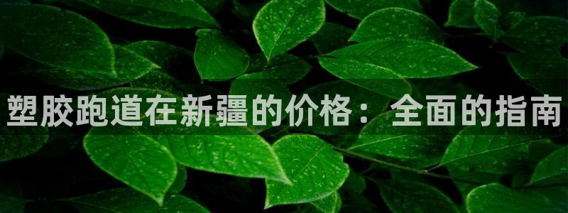 尊龙z6平台：塑胶跑道在新疆的价格：全面的指南