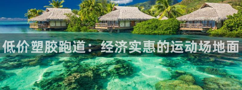 尊龙科技：低价塑胶跑道：经济实惠的运动场地面