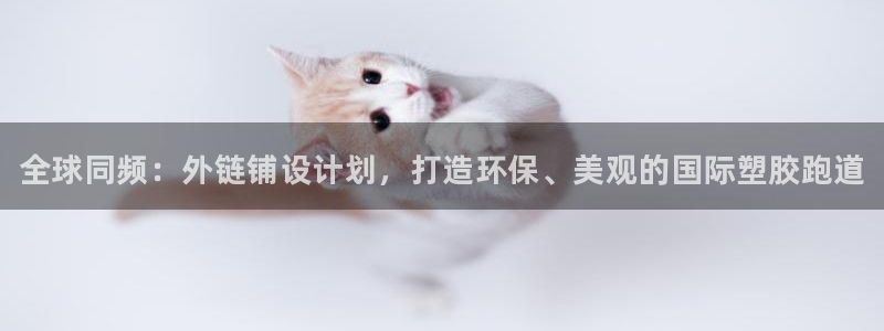 尊龙官网APP下载