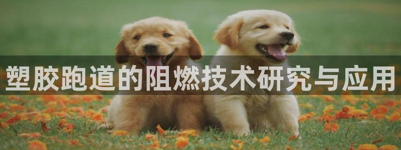 尊龙d88现金 旧版本可靠送38元