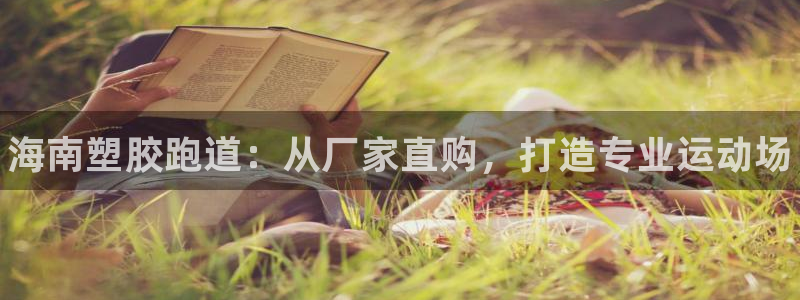 尊龙凯时网娱乐最新版：海南塑胶跑道：从厂家直购，打造专业运动