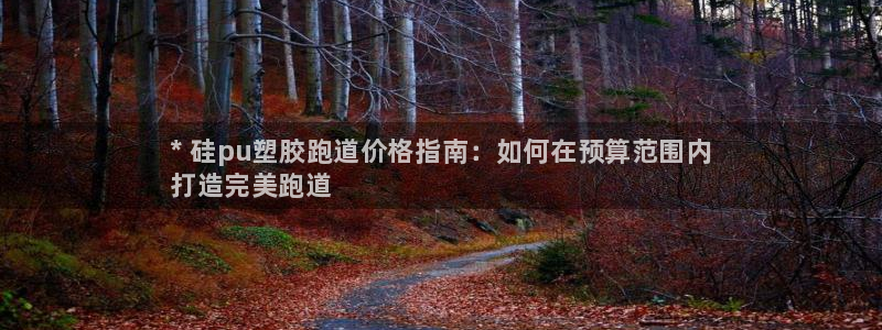 尊龙凯时防屏蔽网址：* 硅pu塑胶跑道价格指南：如何