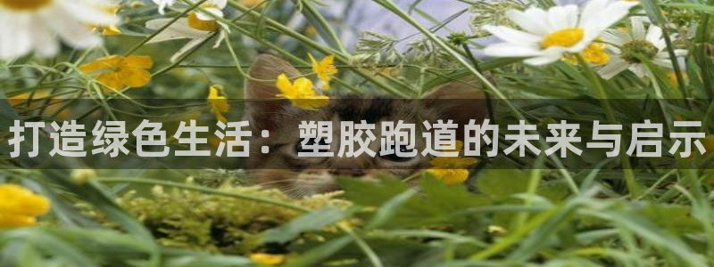 尊龙凯时人生就是博·(中国)官网官