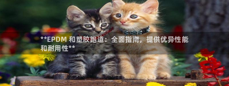 尊龙王t400：**EPDM 和塑胶跑道：全面指南，