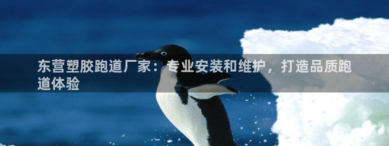 尊龙凯时人生就是博·(中国)：东营塑胶跑道厂家：专业安装和维护，打造品质跑
道体验