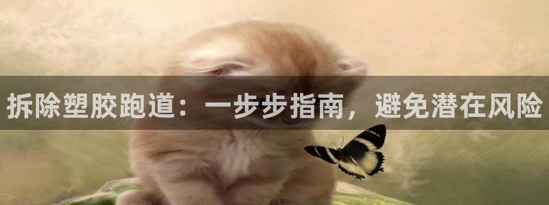 尊龙公司：拆除塑胶跑道：一步步指南，避免潜在风险