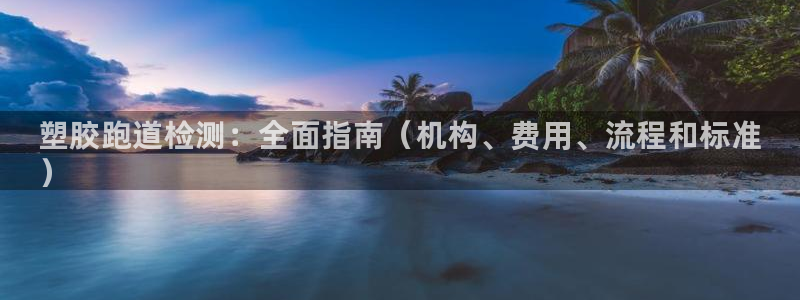 AG尊龙注册在线游戏：塑胶跑道检测：全面指南（机构、