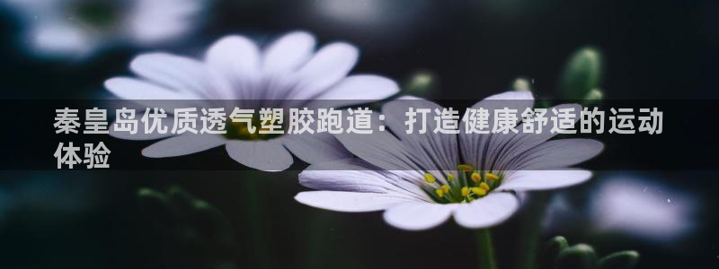 尊龙会：秦皇岛优质透气塑胶跑道：打造健康舒适的运动
