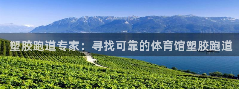 尊龙电子： 塑胶跑道专家：寻找可靠的体育馆塑胶跑道