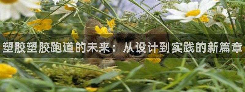 尊龙现金一下S选来就送38