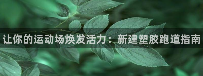 ag尊龙凯时官网：让你的运动场焕发活力：新建塑胶跑道